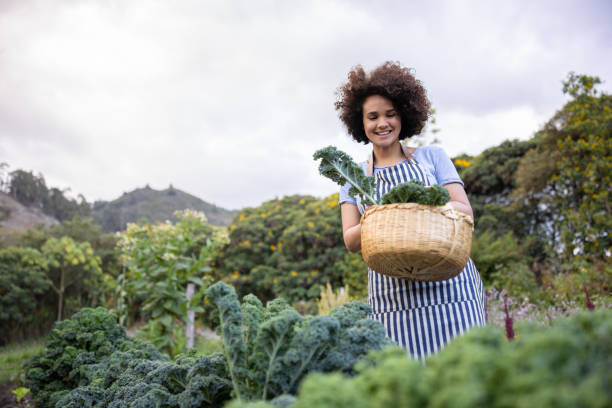 istock Happy woman picking up vegetables from her garden 1400534613