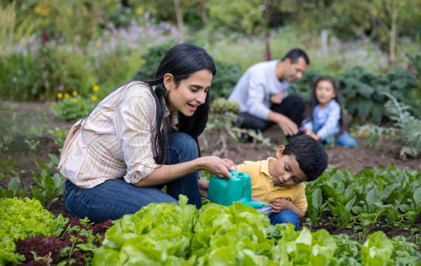 Mother teaching her son to water the plants in their home garden Happy Latin American mother teaching her son to water the plants in their home garden - sustainable lifestyle legacy concept stock pictures, royalty-free photos & images