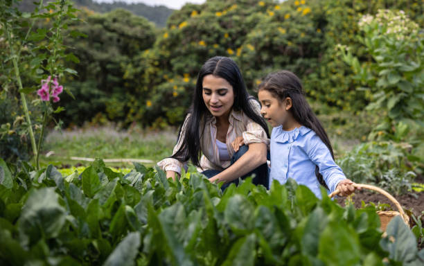istock Mother and daughter picking up vegetables from their home garden 1400534621