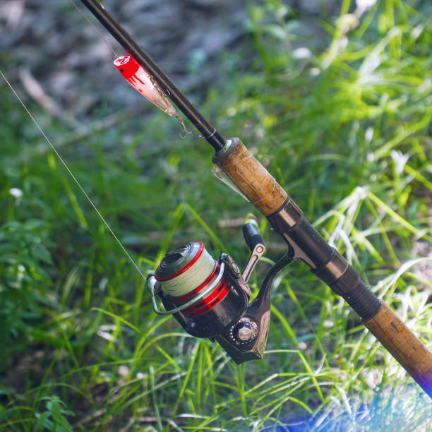 istock Spinning rod with a reel for catching predatory fish on natural background 1400537892