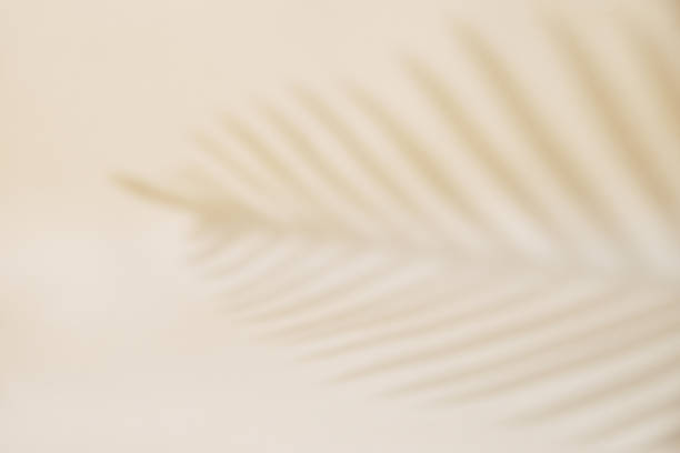 istock Shadow of palm leaf on pastel background 1400540997