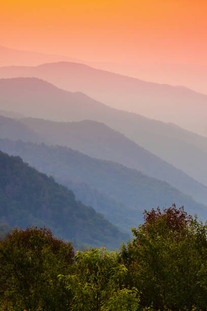istock Misty Overlook in the Smokies 1400543130