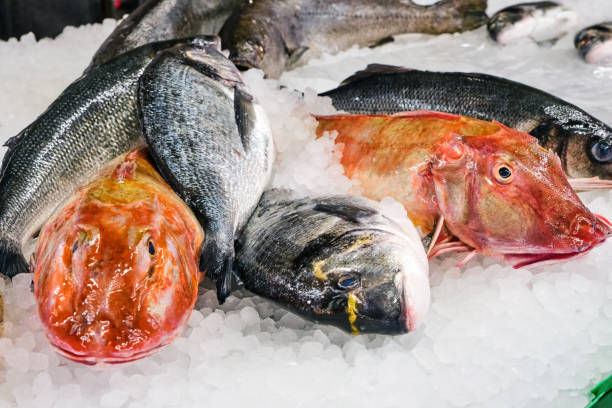 istock Red and gray fish for sale 1400543352
