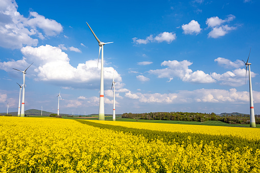 Wind turbines in a blooming rape field seen in Germany