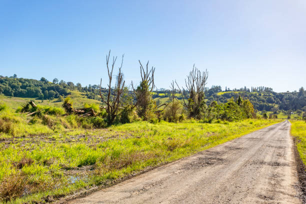istock Dirt country road under sunny clear blue sky 1400550871