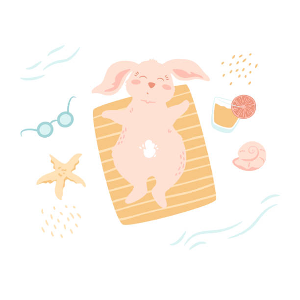 маленький кролик лежит на одеяле. милый кролик на отдыхе на пляже, коктейль с долькой апельсина, ракушка, морская звезда, солнцезащитные очк - shell starfish orange sea stock illustrations