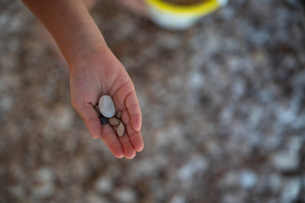istock Childs palm holding pebbles found on the beach 1400553042