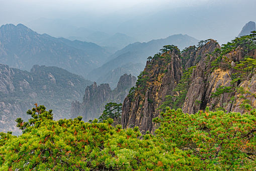 Beautiful peaks with pine trees in Yellow Mountains, cloudy summer day, southern Anhui province in eastern China.