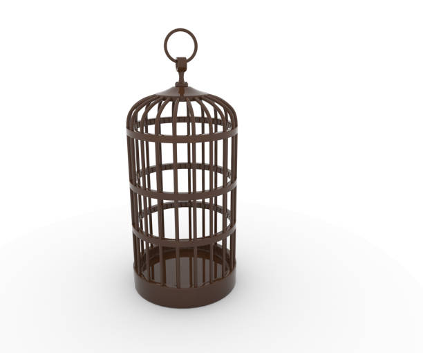 istock A cage for pet birds, typically made of wire or cane Birdcage. 1400554436