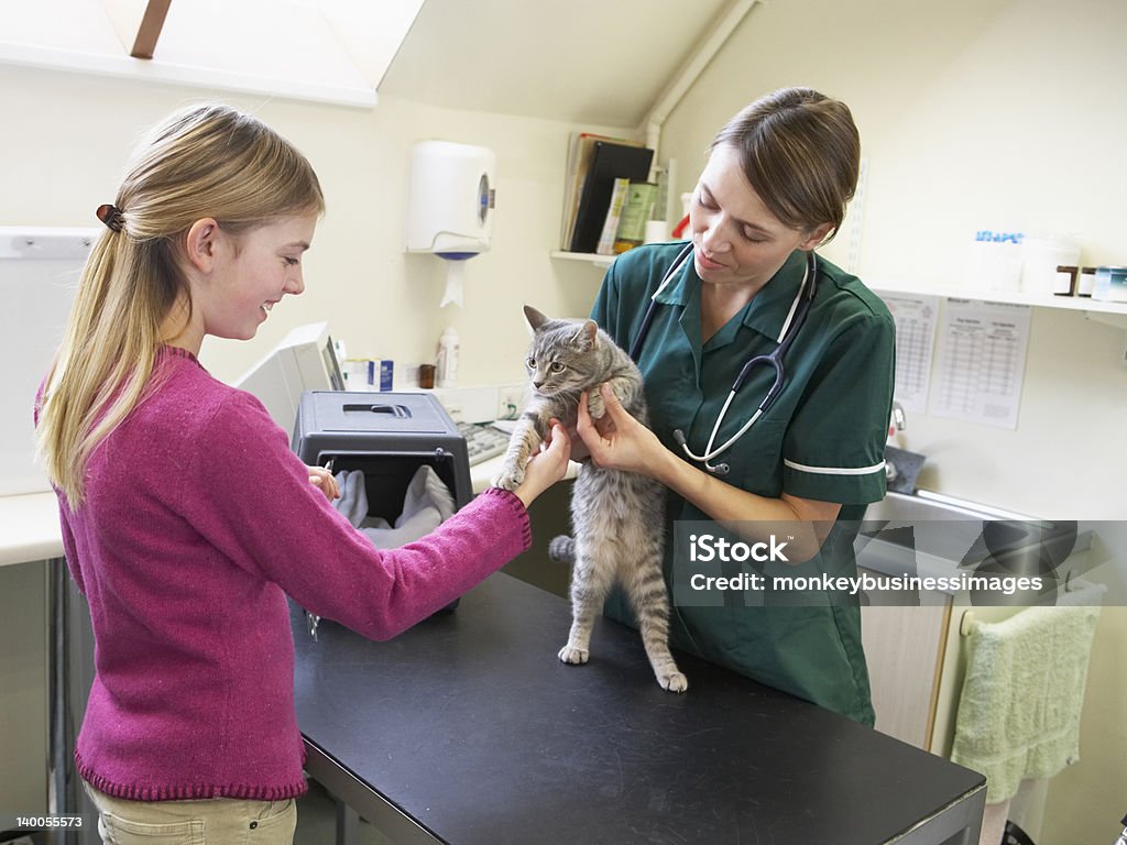 Jovem garota trazendo Cat para análise por veterinários - Foto de stock de Clínica veterinária royalty-free