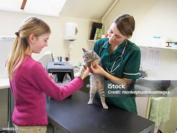 Jovem Menina Trazendo Gato Para Exame Pelo Veterinário - Fotografias de stock e mais imagens de Clínica Veterinária