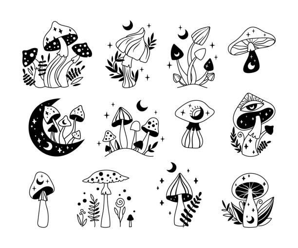 202 Shroom Tattoos Stock Photos, Pictures & Royalty-Free Images - iStock
