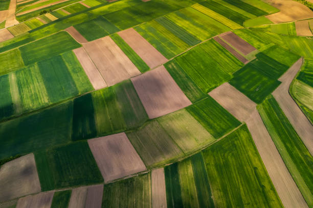 istock Beautiful Lush Farm Fields in Countryside,Poland. Drone View from Above 1400558947