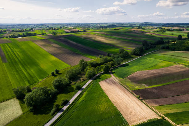 istock Colorful rural Landscape at Spring. Agriculture Crop Pattern.Drone View. 1400559325