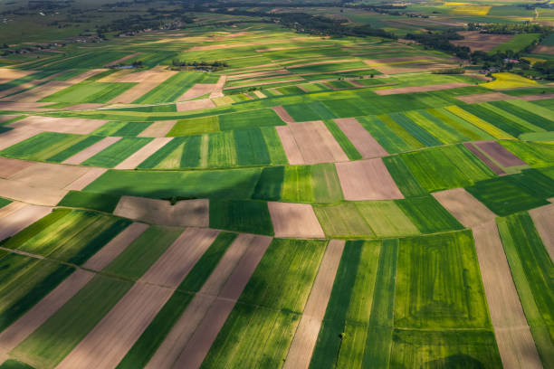 istock Colorful rural Landscape at Spring. Agriculture Crop Pattern.Drone View. 1400559489