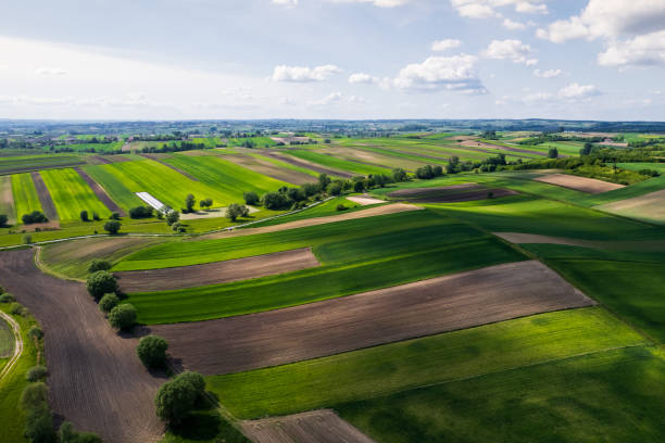 istock Agriculture Fields Paterns in Rural Countryside. Aerial Drone View 1400559607