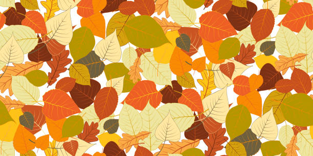 ilustraciones, imágenes clip art, dibujos animados e iconos de stock de patrones sin fisuras con coloridas hojas otoñales - autumn leaf white background land