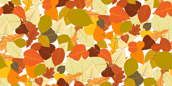 Seamless pattern bright colorful autumn foliage isolated on white background. Graphic design autumn symbol. Red orange yellow dry autumn leaves. Autumn foliage seasonal background. Vector illustration