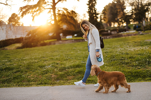 Beautiful young woman walking dog in park at sunset, side view