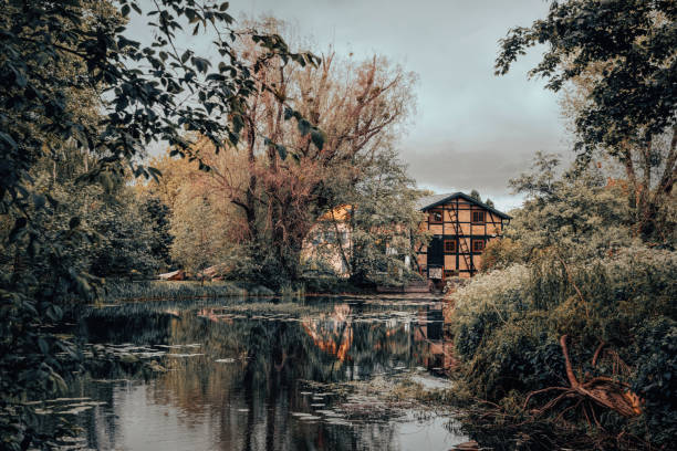 antigua cabaña de brujas y el lago pantanoso - surrey southeast england england cottage fotografías e imágenes de stock