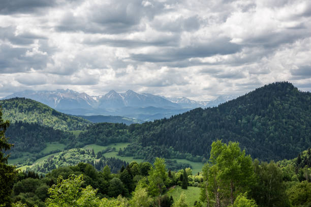 Panoramic view on Pieniny Mountains range and High Tatras from Palenica in Szczawnica, Poland stock photo