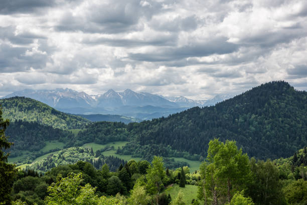 panoramiczny widok na pieniny i tatry wysokie z palenicy w szczawnicy - rezerwat przyrody zdjęcia i obrazy z banku zdjęć