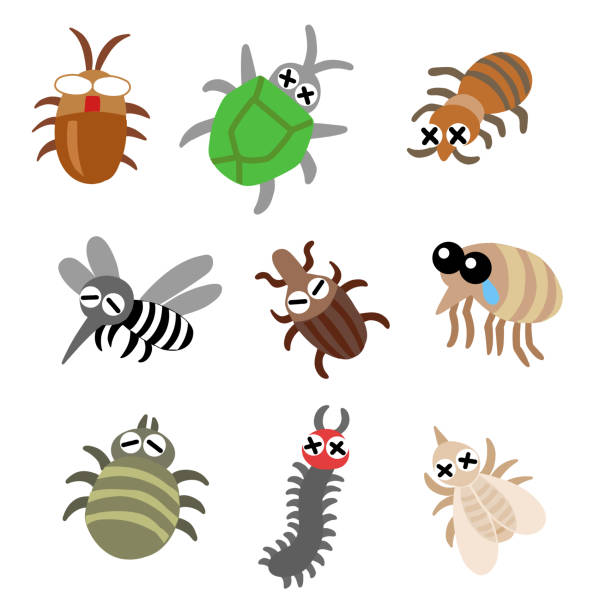 satz von insektenschädlingen clip art von kakerlake, stinkwanze, mücke, kokzidian, floh, zecken, tausendfüßler, weiße ameise - bedbug insect beetle temperate bedbug stock-grafiken, -clipart, -cartoons und -symbole