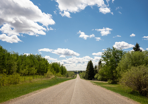 Dirt road leading into the distance under a blue sky with clouds passing by green trees