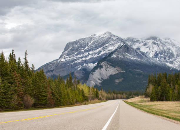 Tarred road going into the distance under a cloudy sky in the Rocky Mountains