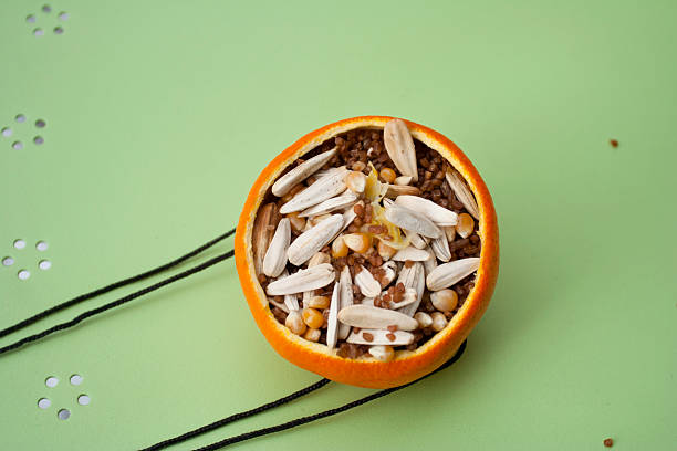 Bird feeder made by orange peel and string. Materials: Sunflower seeds, corn seeds, wheat.
