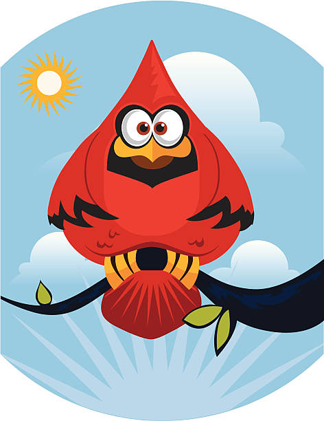 Cardinal vector art illustration