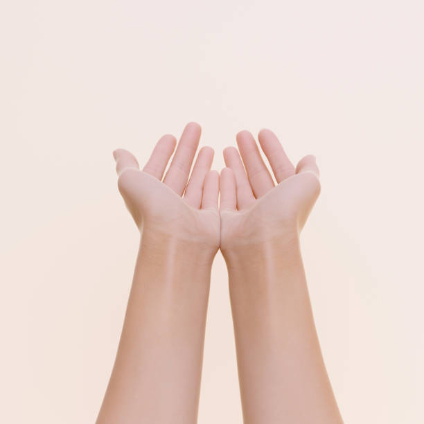 istock Outstretched cupped hands, presenting gesture 3d rendering, charity concept 1400585093