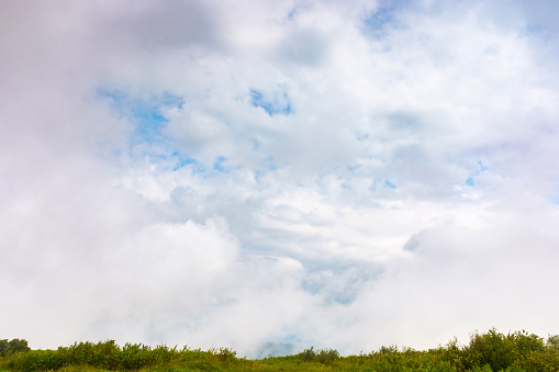 cloudy sky above the green meadow. nature scenery with horizon line. beautiful scenery in morning light