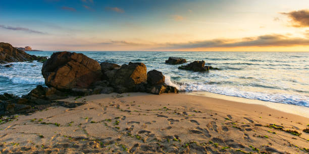 istock rocks on a sandy beach in morning light 1400585213