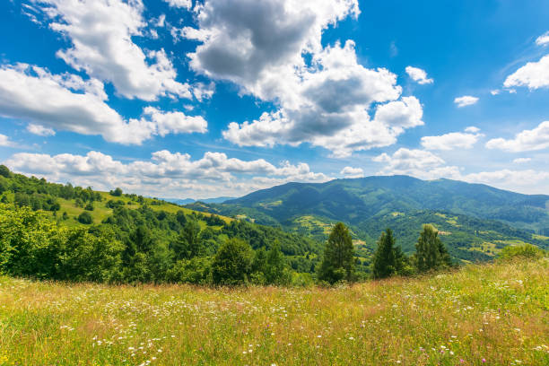 istock grassy mountain meadow in summer 1400585223