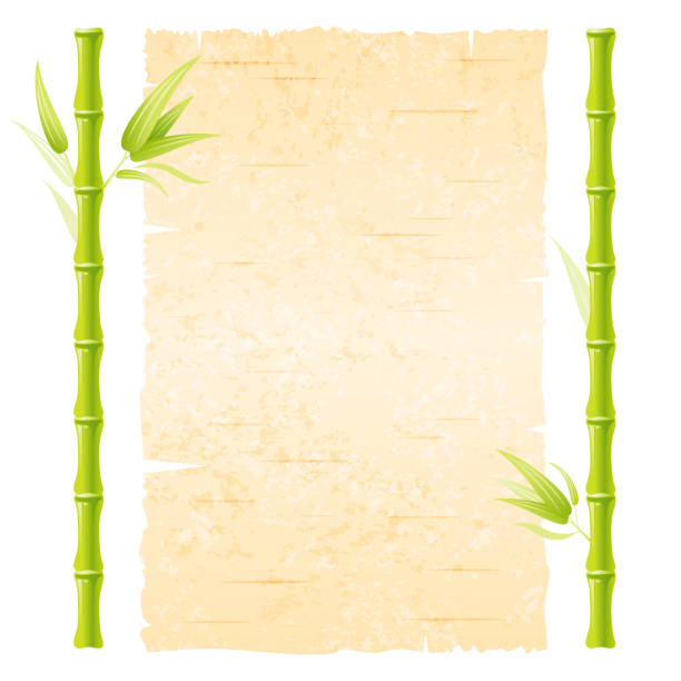 대나무 벡터 프레임. 나무 정글 배경. 대나무 막대기와 종이 캔버스 배너가있는 숲 경계. 녹색 하와이어, 중국어 또는 일본어 보드. 나무 프레임이있는 나무 간판. 고립 된 정원 잎 - tropical climate banner placard bamboo stock illustrations