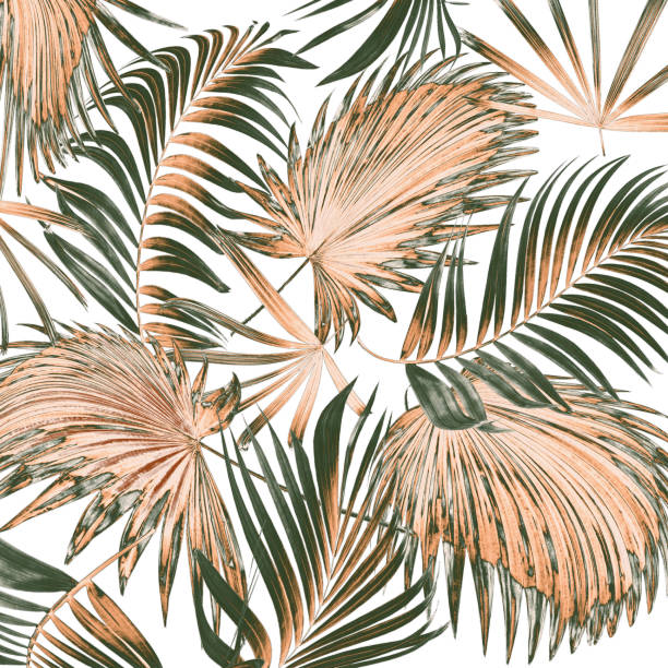 istock leaves of palm tree on white background 1400589210