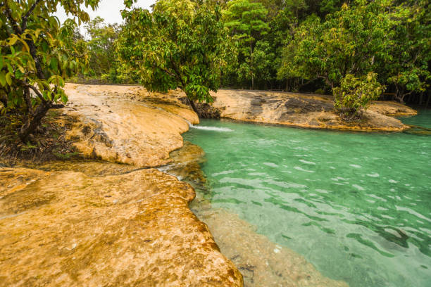 istock Clear pond in the midst of nature 1400590183
