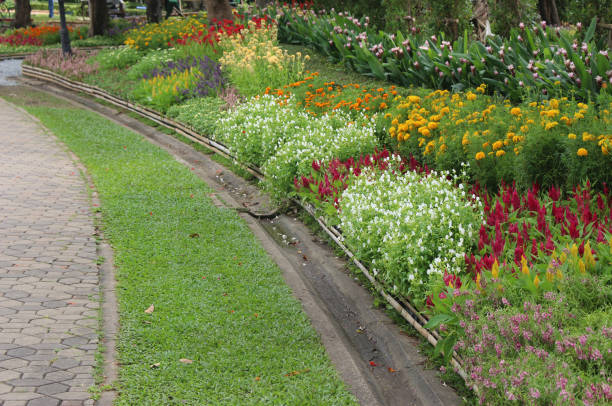 istock flower in garden and  green grass 1400590728