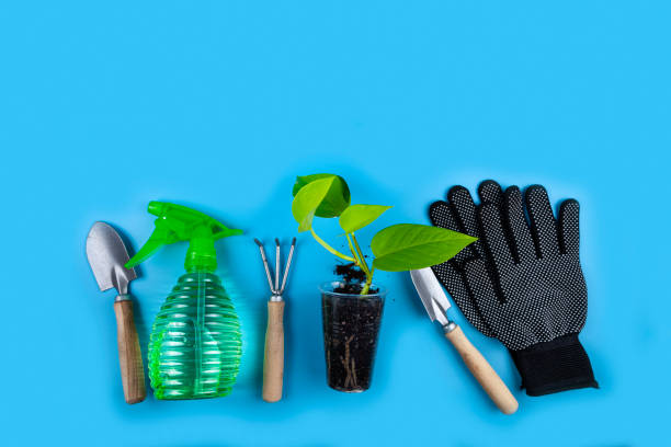 istock House gardening equipment, top view. 1400592972
