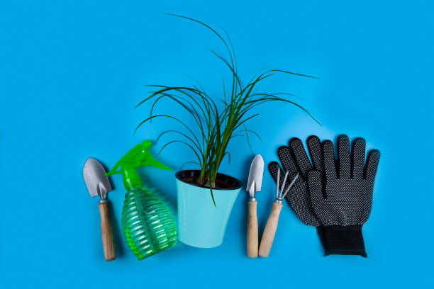 istock House gardening equipment, top view. 1400593098