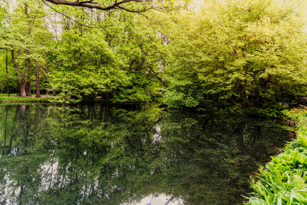 istock Ghosty mysterious morning lake in the forest 1400595063