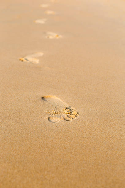 istock Foot print on fine sandy beach, nature concept 1400595073