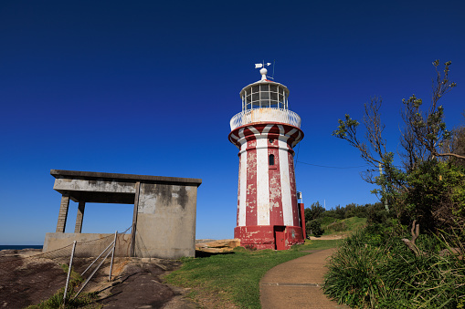 Lighthouse against a deep blue sky with shrubs in the foreground.