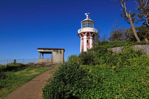 Lighthouse against a deep blue sky with shrubs in the foreground.