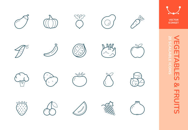 완전히 확장 가능한 20 가지 과일 및 채소 벡터 아이콘 세트 - bean avocado radish nut stock illustrations