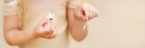 Photo of Little girl hands puling chamomile petals