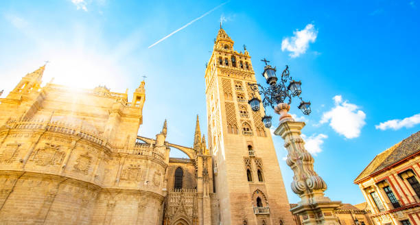 vista panorámica de la catedral de sevilla y la torre de la giralda, españa - seville sevilla santa cruz city fotografías e imágenes de stock