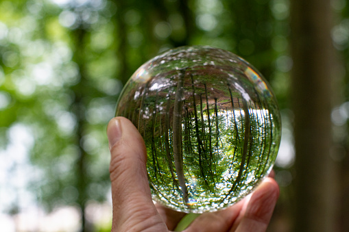 Hand holding a crystal ball with nature inside. Showing nature outside and inside and remember to take care of nature. Ready for presentation material.