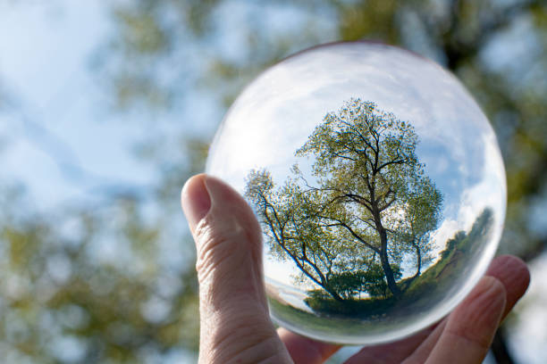 Hand holding a crystal ball with nature inside. Showing nature outside and inside and remember to take care of nature. Ready for presentation material.